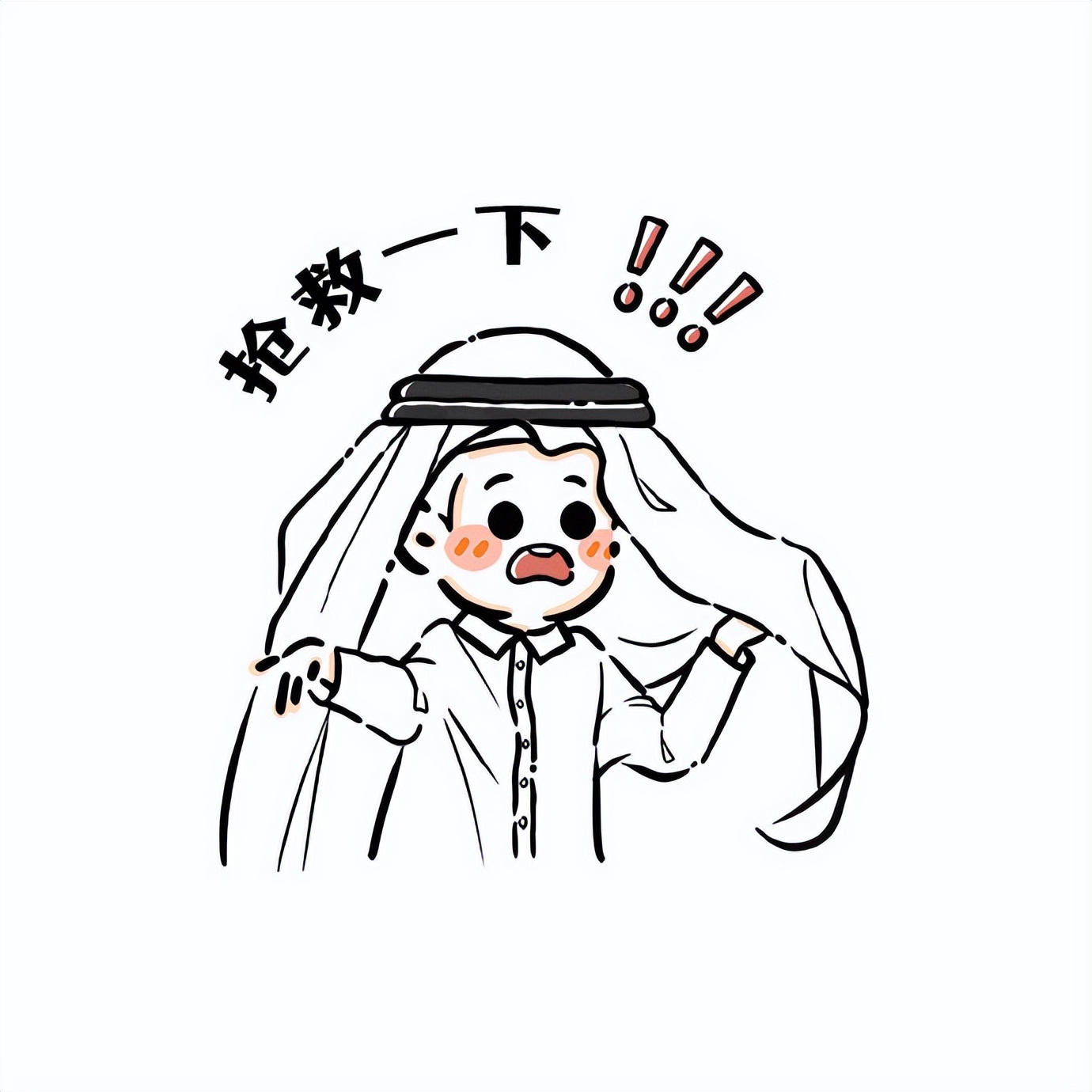 卡塔尔15岁小王子表情包,卡塔尔小王子气出表情包原视频