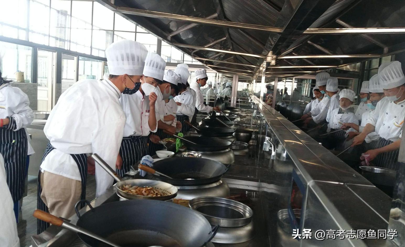 大专生专业就业率,大专就业率最高的专业且工资高