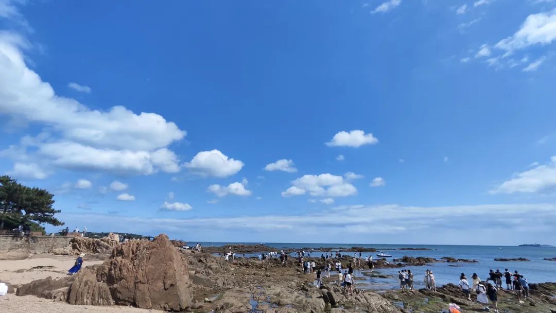 青岛绝美的一条路,青岛都是树的风景路
