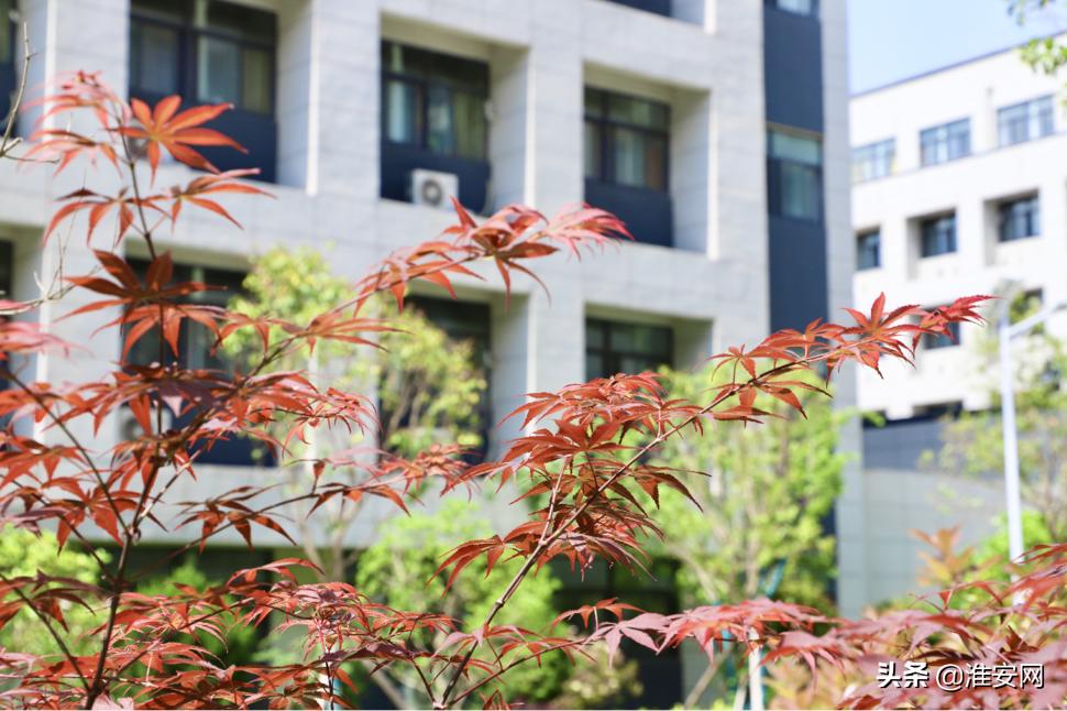 淮安空港卓文中学招生,淮安空港卓文学校招生办
