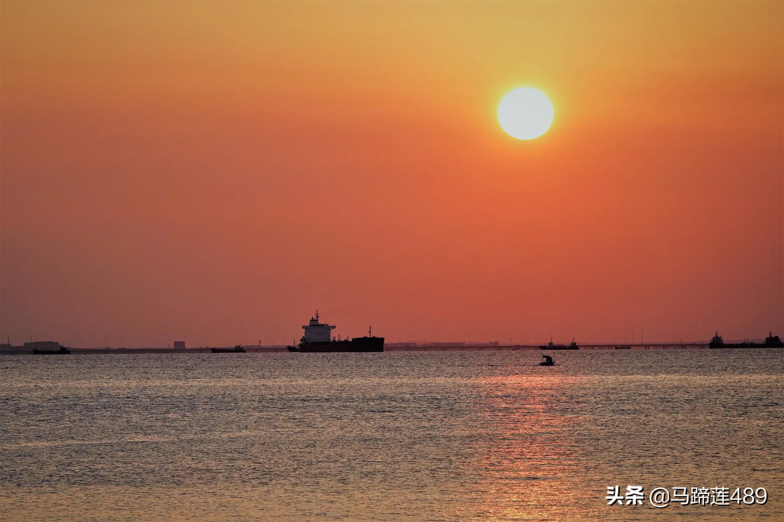 青岛金茂湾,青岛金茂湾地址