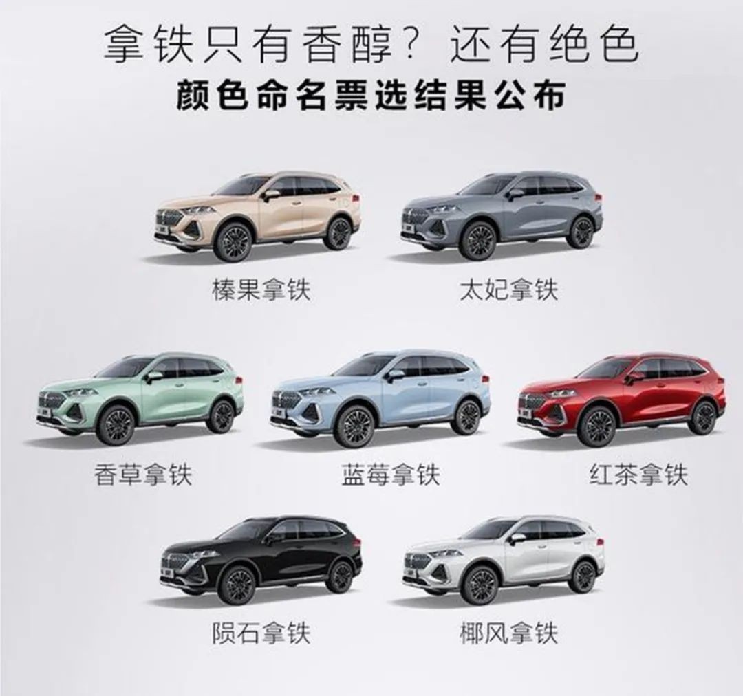 销量下滑如何突破,魏牌2019销量