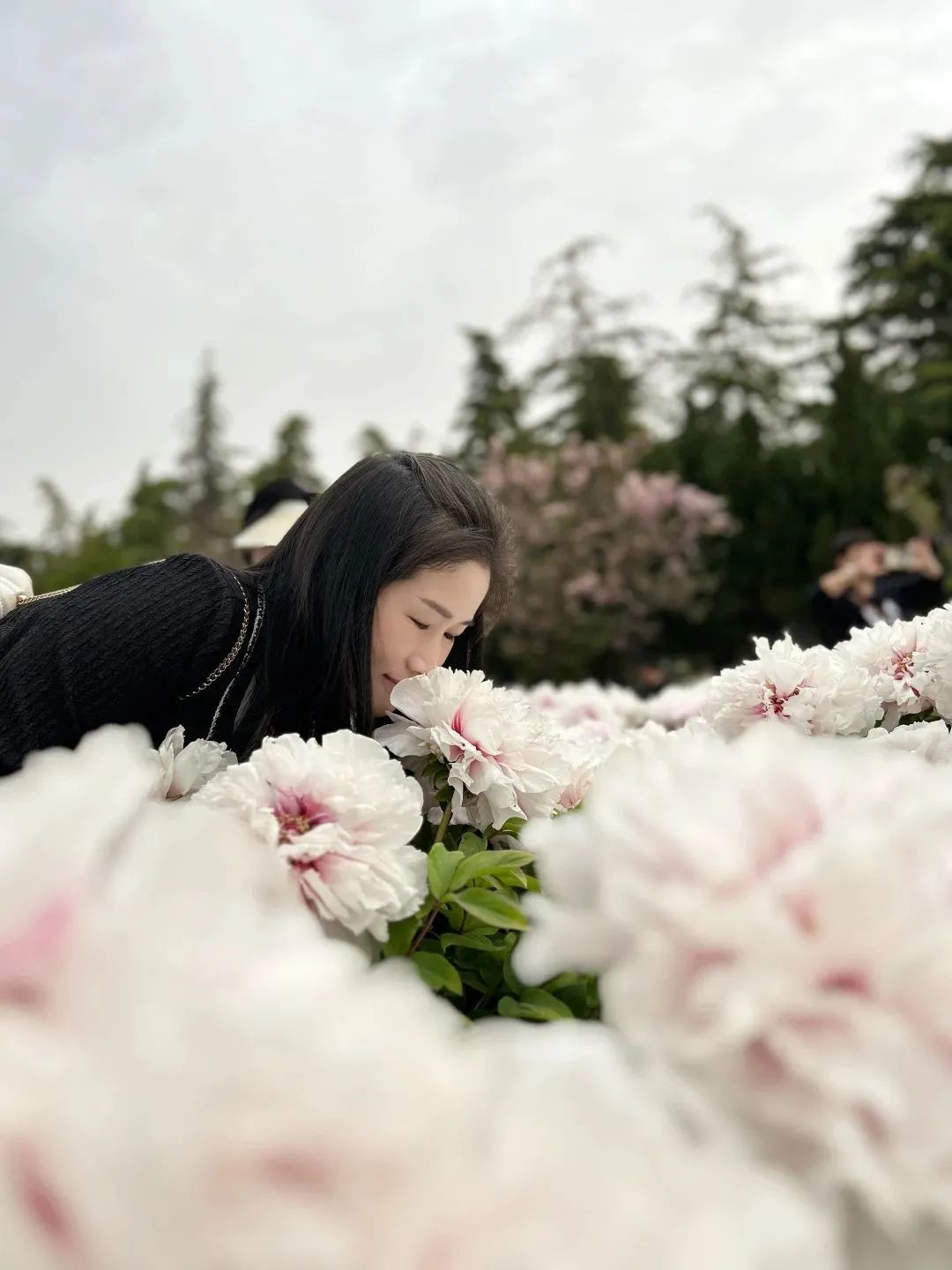 设计知旅第64期丨郑在洛地：设计师职业探索走进神都洛阳