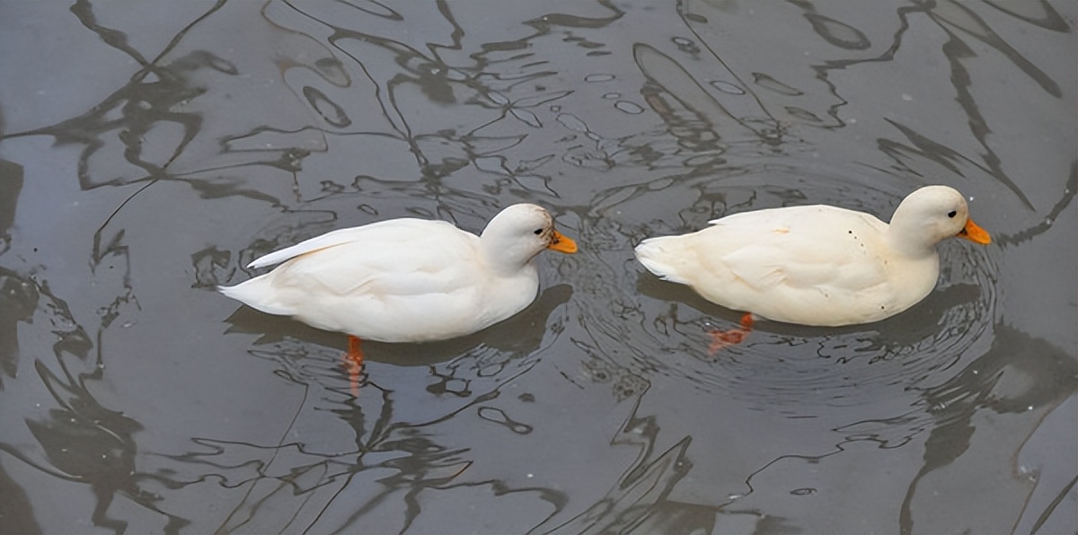 在江苏的“绿林仙海”中，寻找侠气与柔情