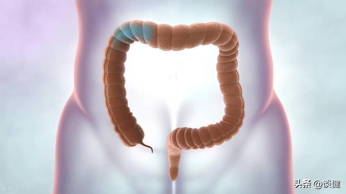 大量吃李子对身体的危害,经常吃李子能减肥吗