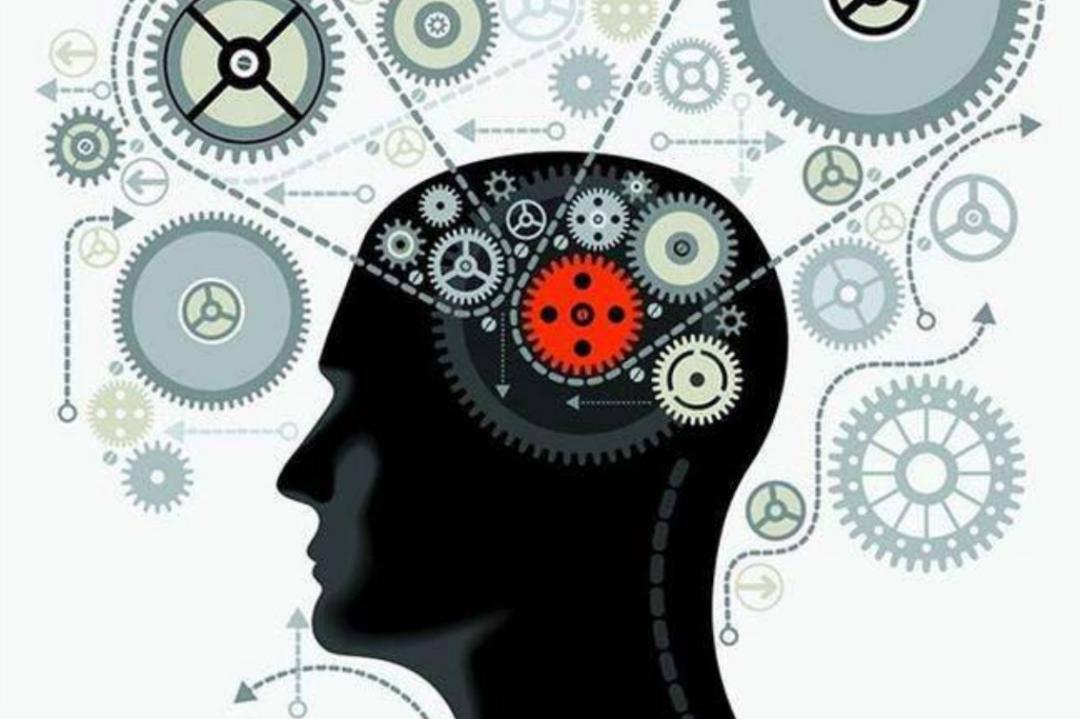 人类大脑为什么越来越厉害,你知道人类大脑的容量有多大