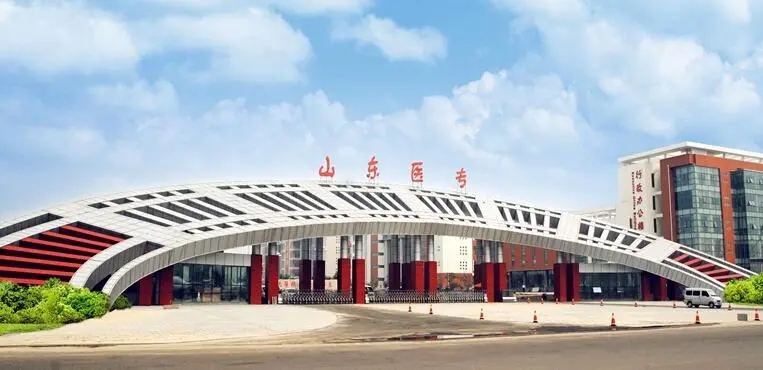 山东前十大职业院校有哪些,山东工专排名