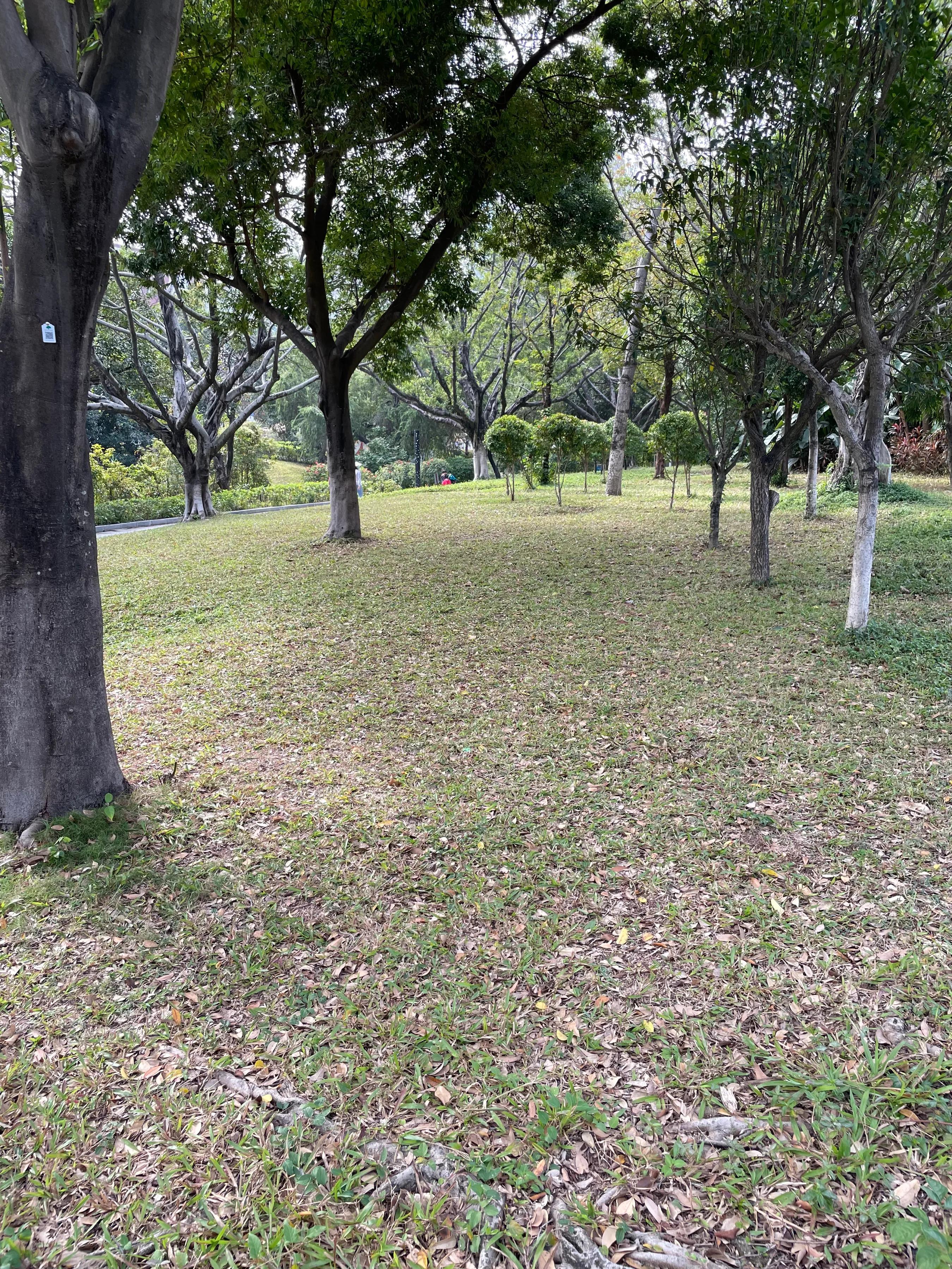 深圳宝安新安公园地址,深圳宝安新安公园图片