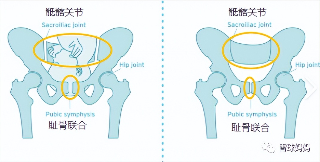 雷佳音曝汤唯尿频被指情商低,汤唯产后尿频