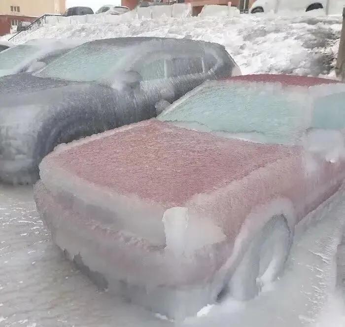 为何现在皮草不值钱,貂皮大衣为什么会被冷落