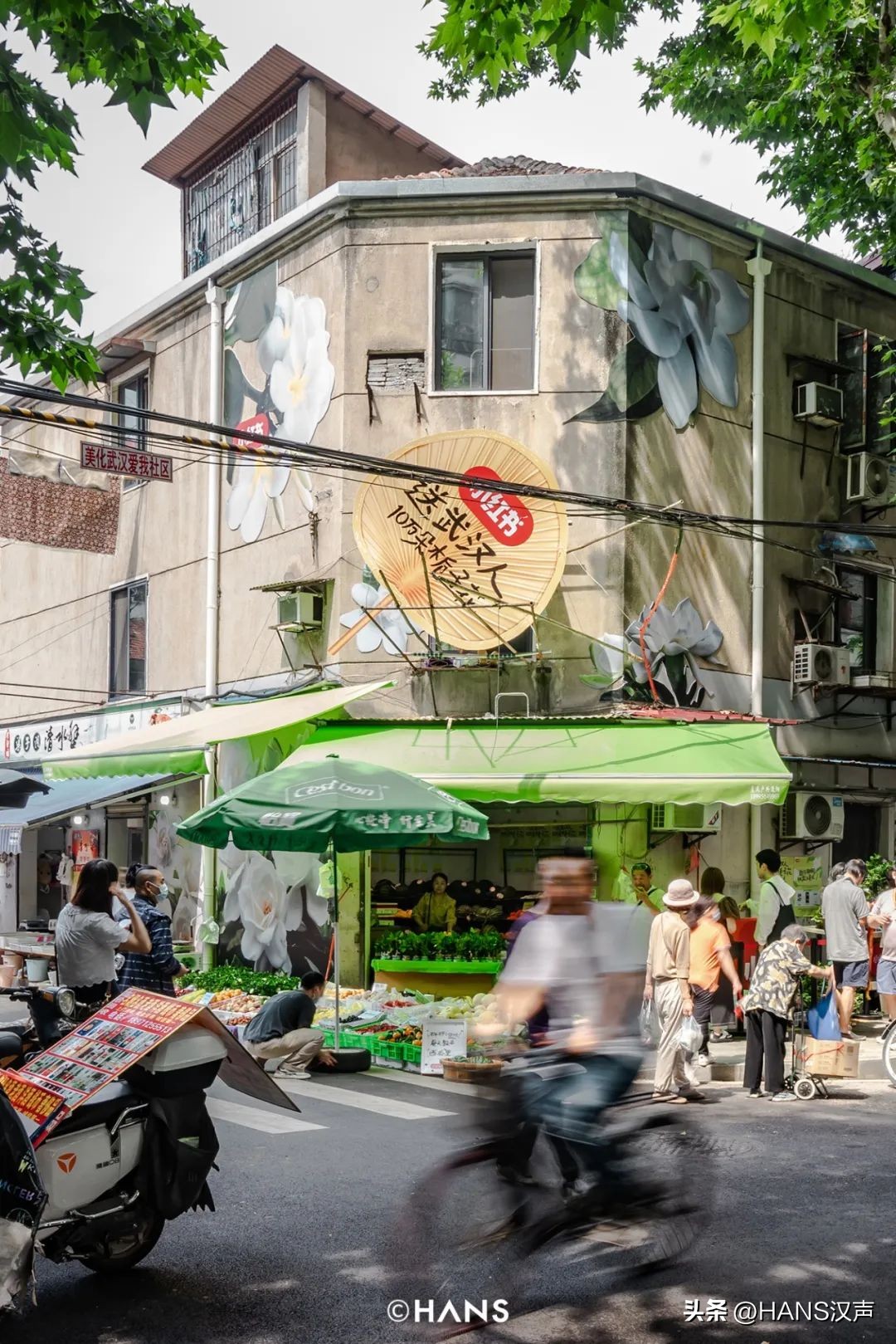 武汉一万朵栀子花,武汉人栀子花