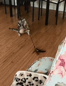 好友不回消息搞笑段子,打电话聊很久的搞笑段子