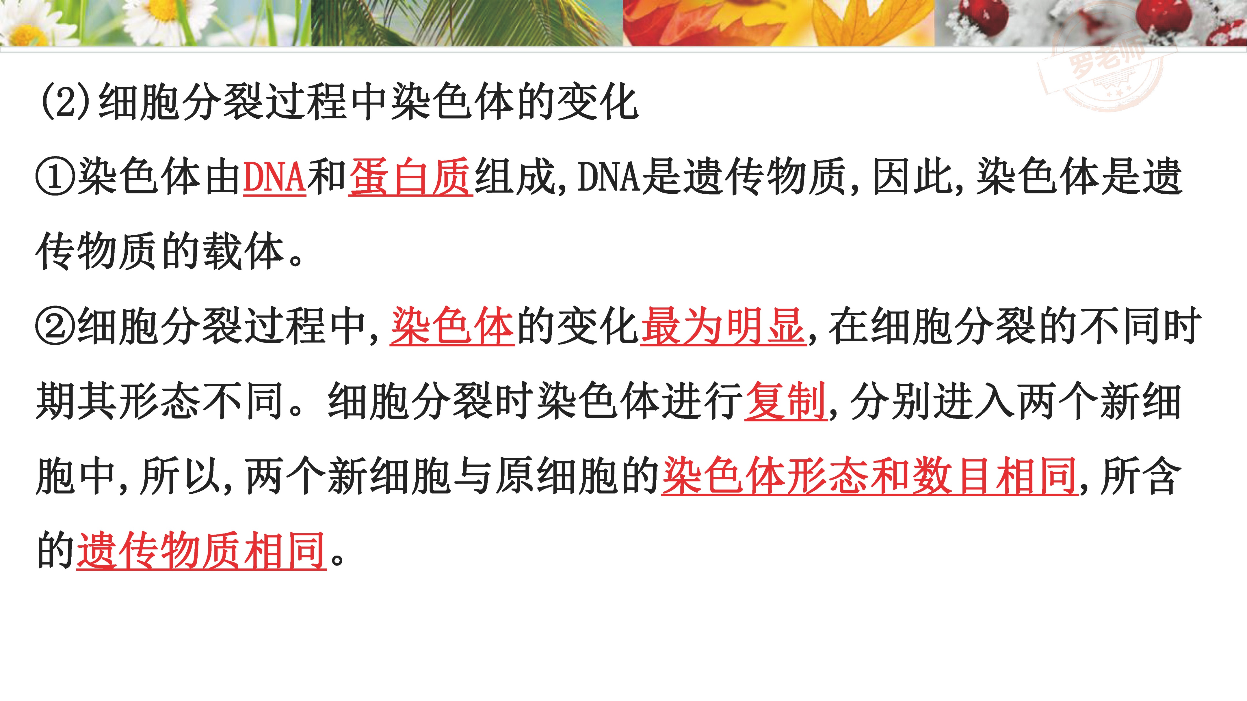 小升初一到六年级复习资料,小升初所有课本