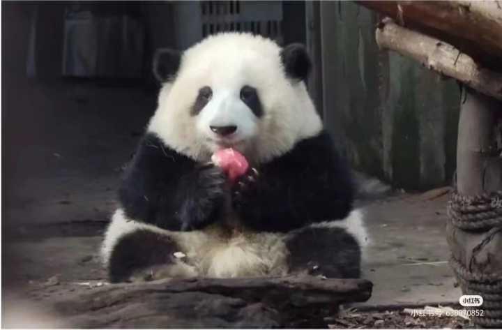 中国十大顶流女明星,顶流女明星穿越电视剧