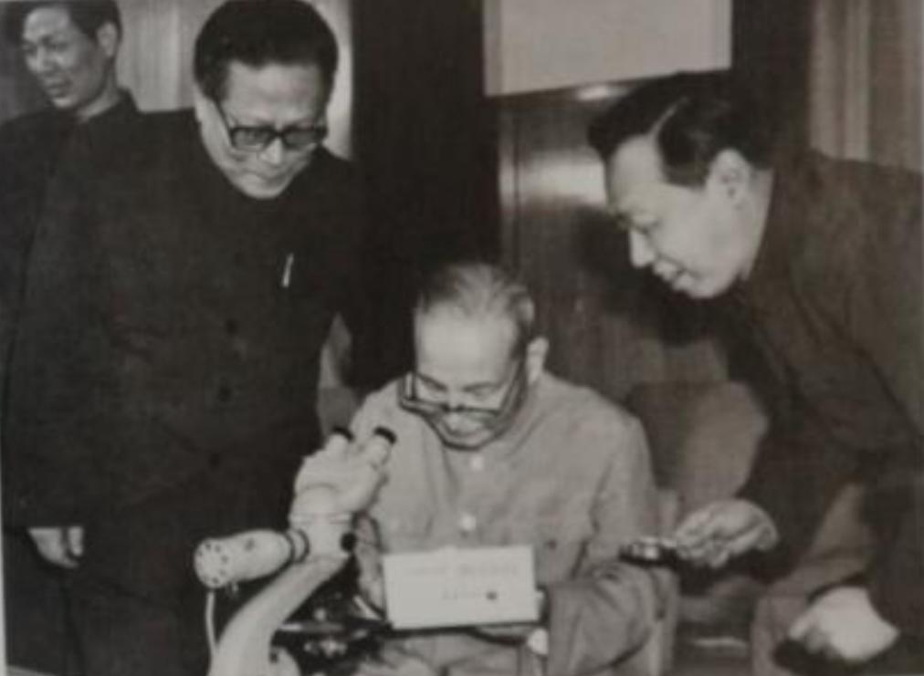 1961年，*云陈**视察养猪场，发火大骂：从来没见过这样养母猪的地方