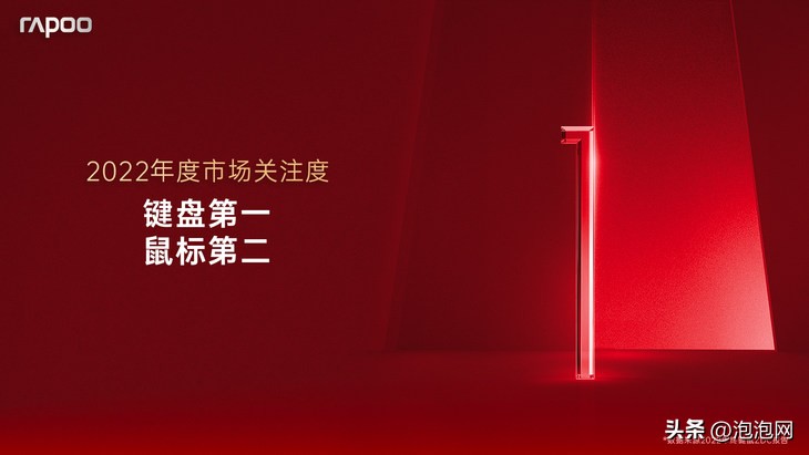 雷柏键盘鼠标排名,2022年雷柏的鼠标进步大吗