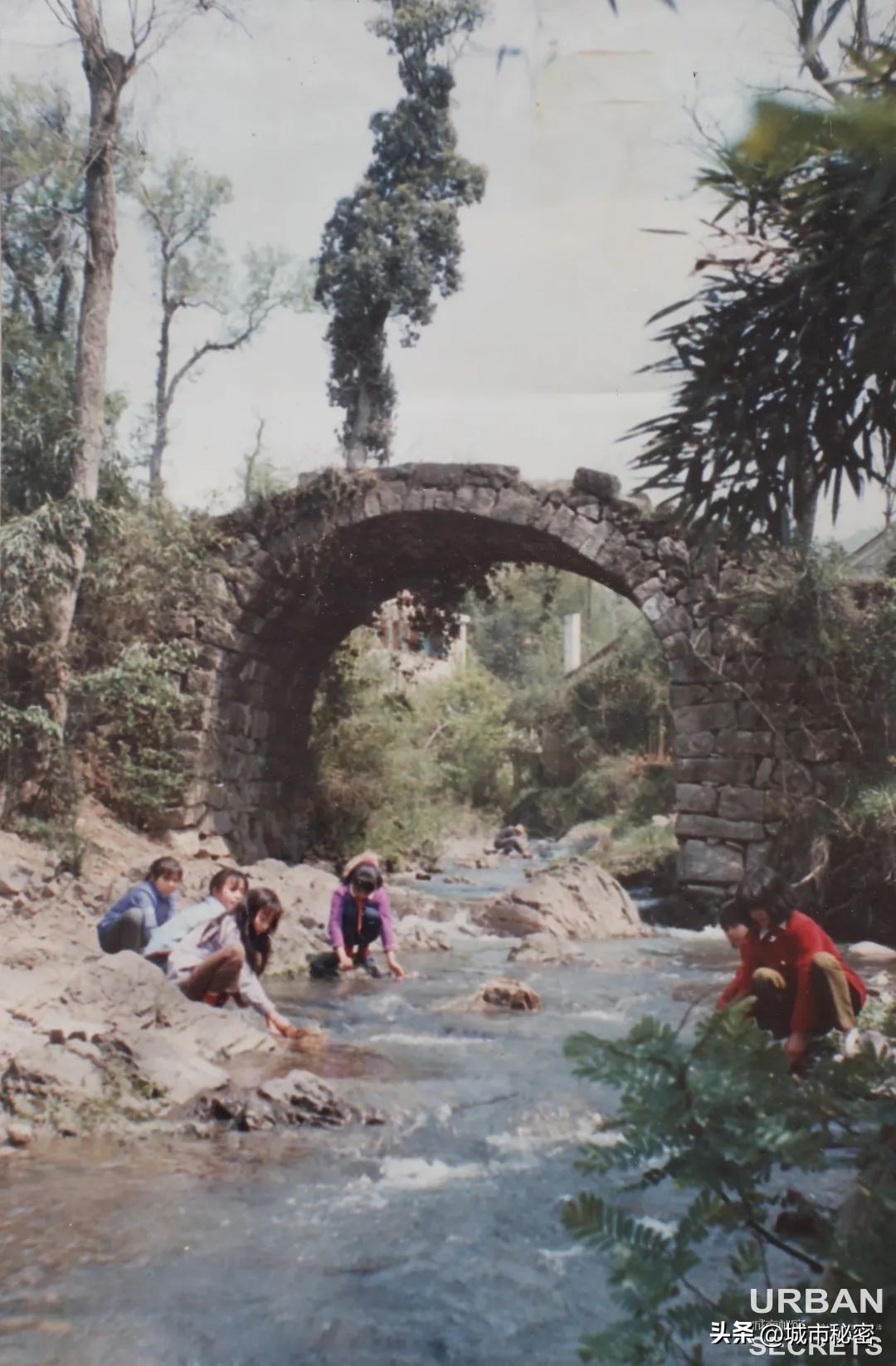 这个被赵露思带火的杭州小乡镇究竟有什么魅力？引来无数网友打卡