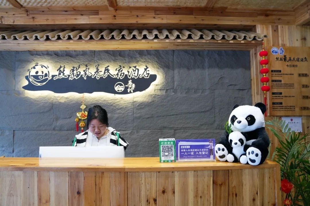 熊猫经济效应,吉利熊猫经济速度是多少