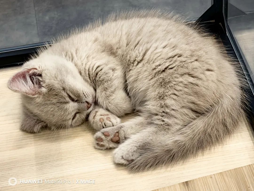 华为mate50pro深度体验感受,华为mate50pro评测超详细版