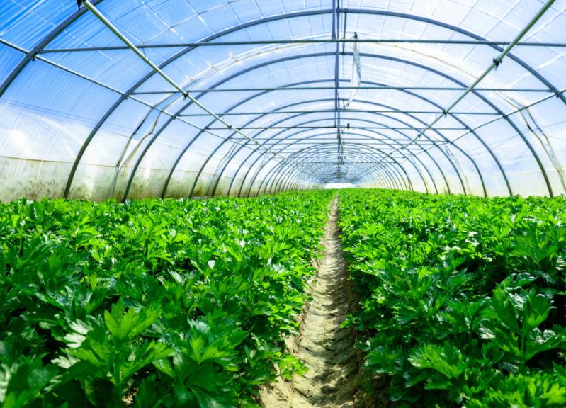 能调控阳光的玻璃长啥样？