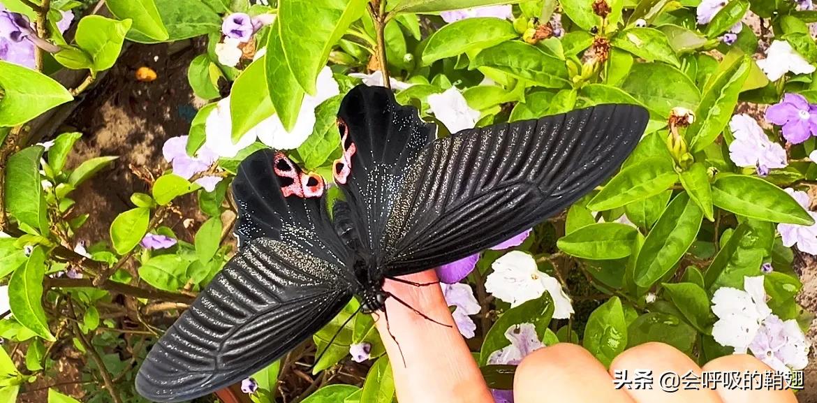 5个月的等待,经过5个多月的漫长等待