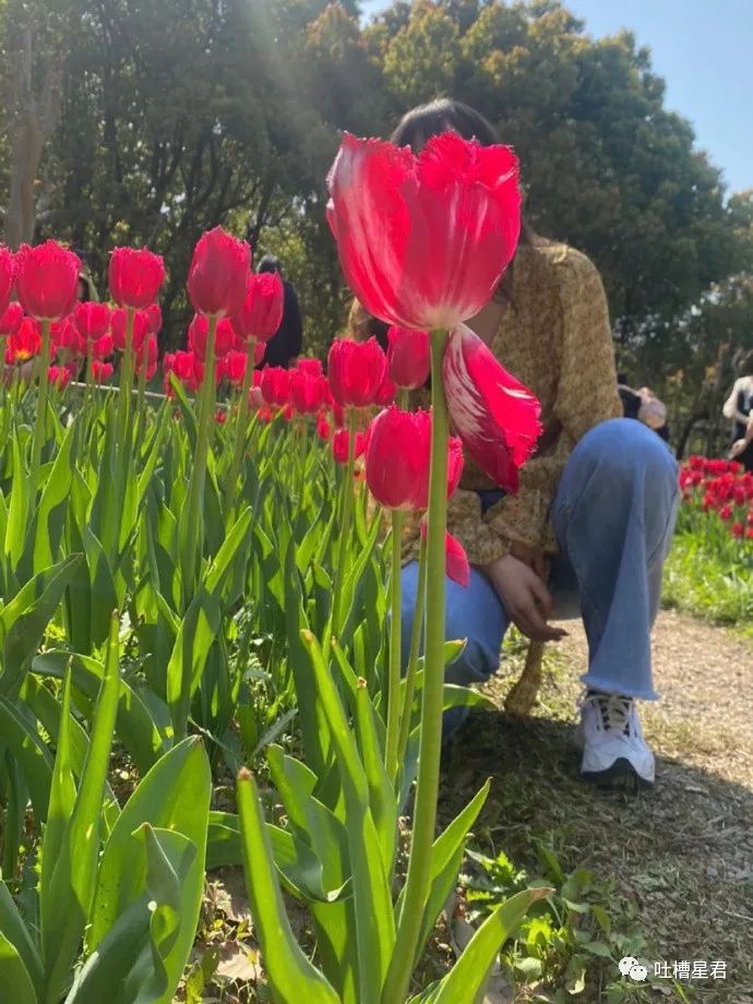 “3W4给女友买战损风上衣...”啊啊啊转身后当场裂开了!