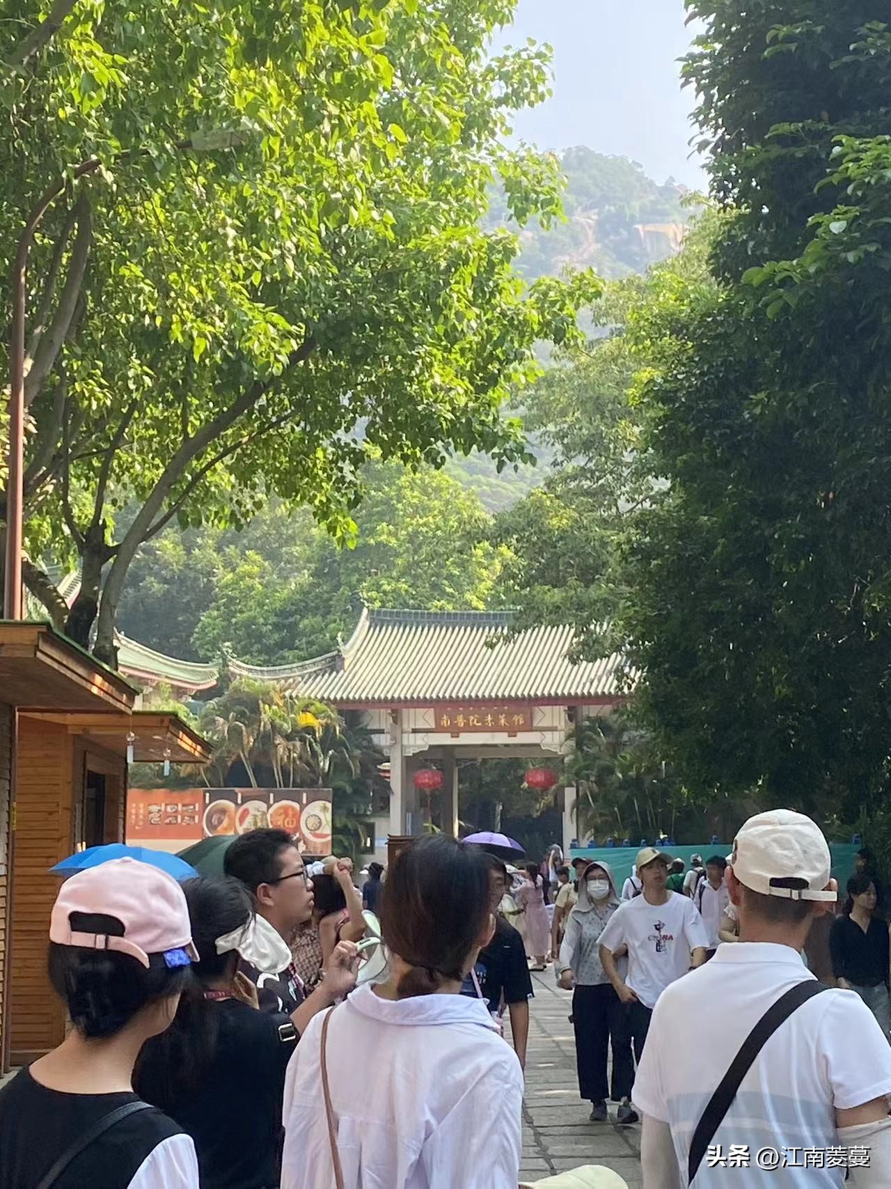 浙江海岛和厦门哪里值得去,为什么那么多人选择去厦门旅游