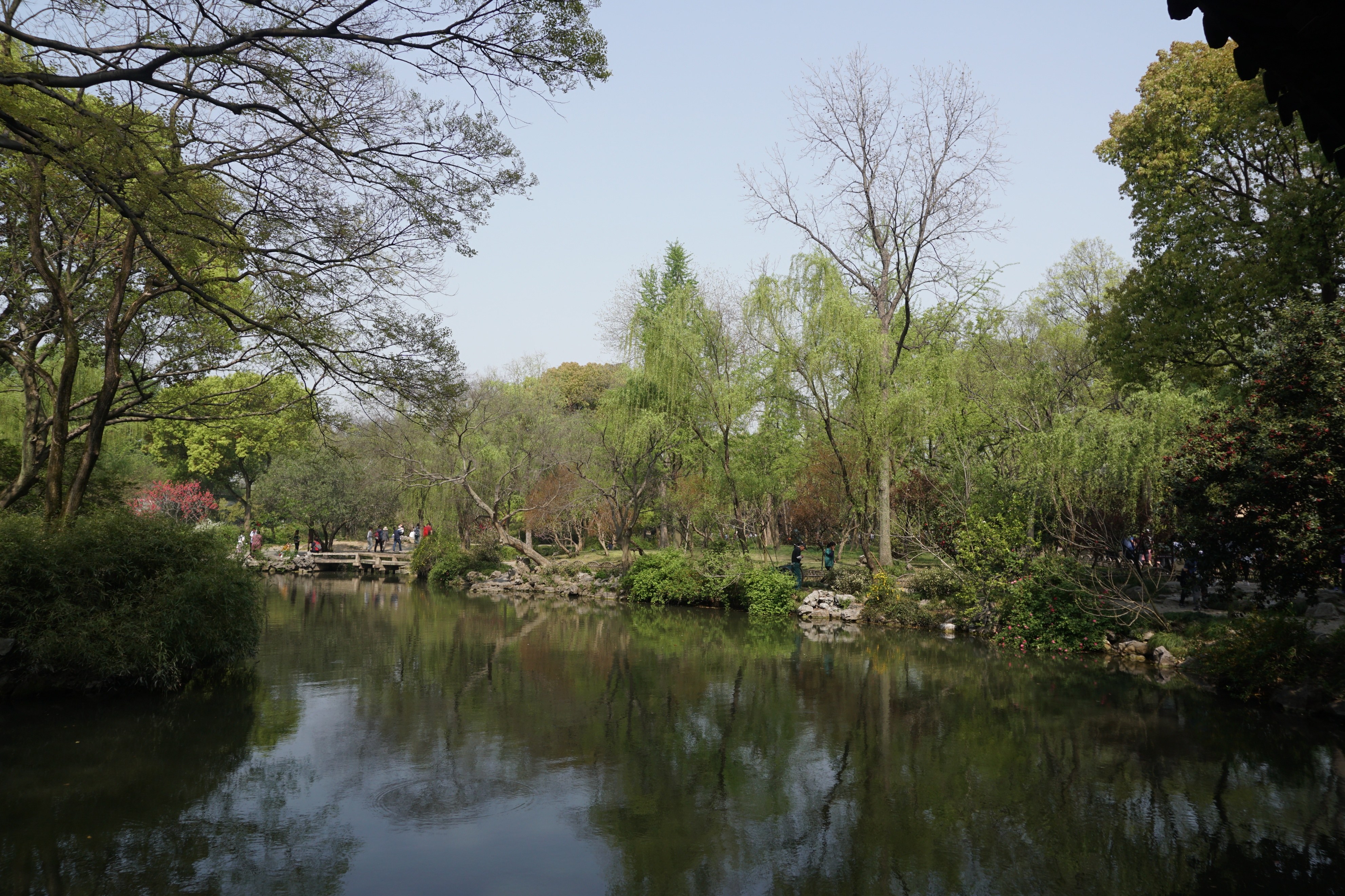 漫步拙政园一步一景,雨中漫步拙政园寻找江南水乡美