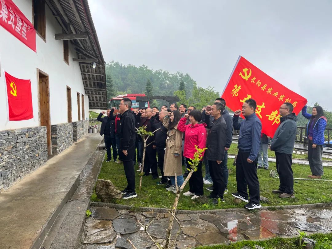 共同缔造行动计划,共同缔造美丽家园行动方案