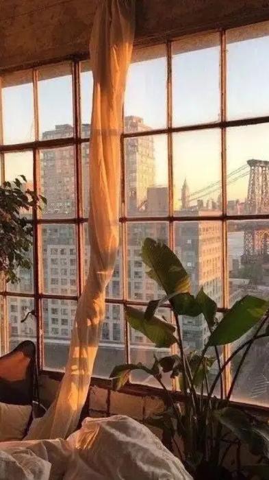 10w买来的3㎡，因为物业，全打水漂了