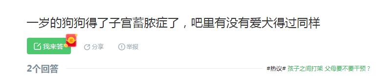 宠物子宫蓄脓最佳治愈方法,宠物子宫蓄脓发病率