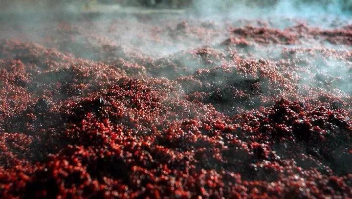 酒是陈的香下一句,酒是陈的香下半句是什么