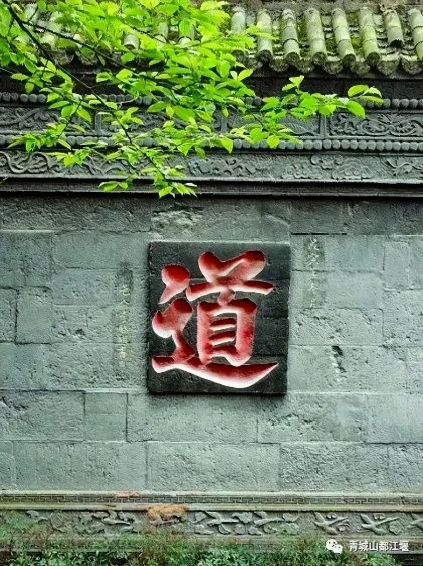 青城山森林秘境,青城山风光好去处