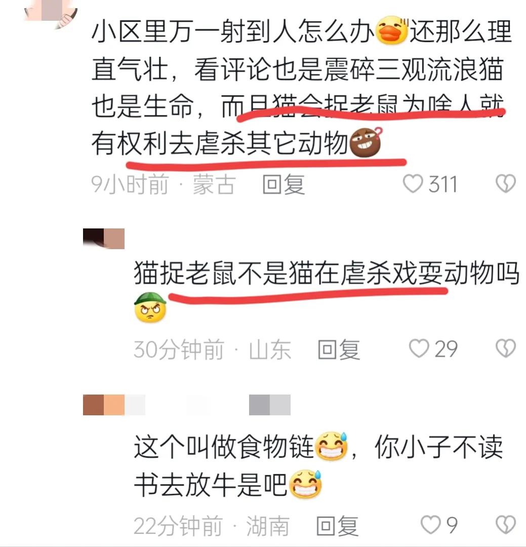 深圳弓箭射流浪猫警方介入,深圳男子用弓弩射杀流浪猫后续