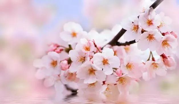 蓝颜知己小说完整版,蓝颜知己到底有多蓝