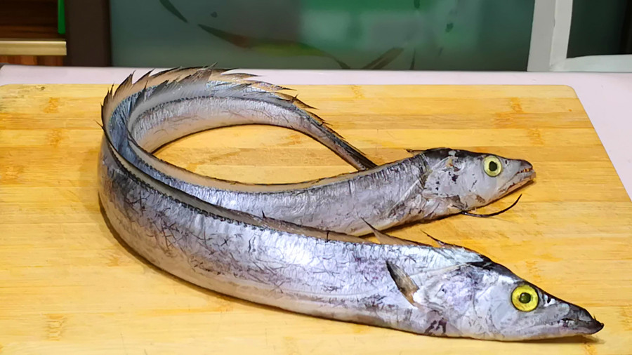 买什么鱼最好吃又便宜,去市场买鱼专挑这5种便宜又好吃