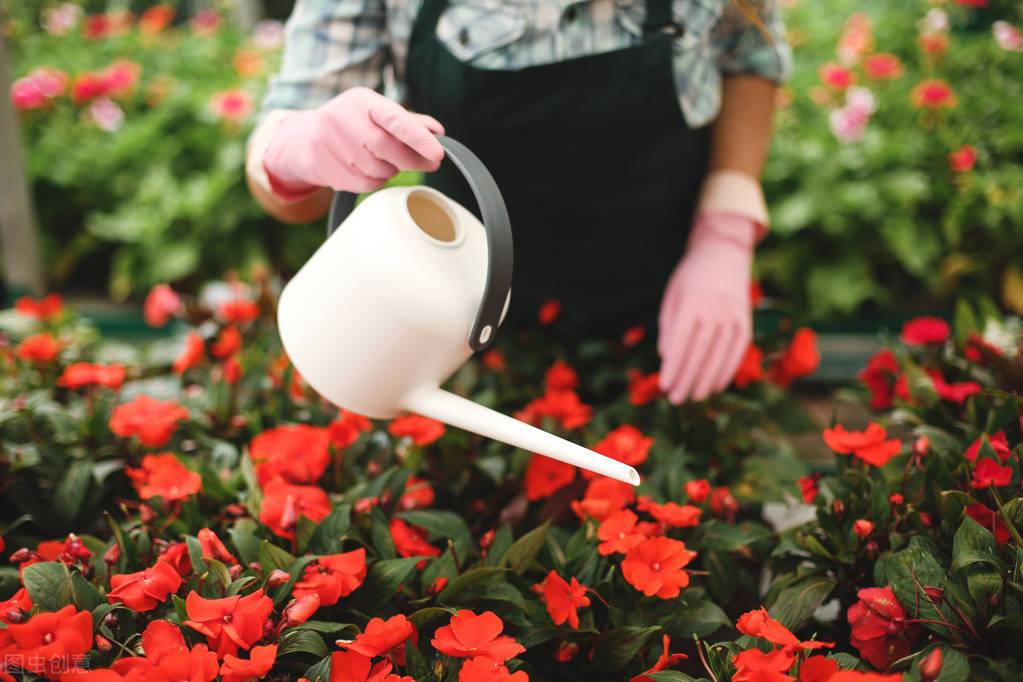 洋葱里倒入白醋的妙用,把白醋倒洋葱里有什么作用