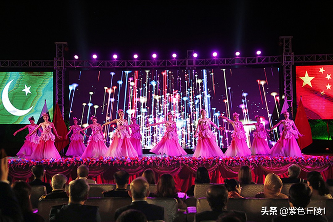 巴基斯坦中国驻外大使馆,中国大使在巴基斯坦活动