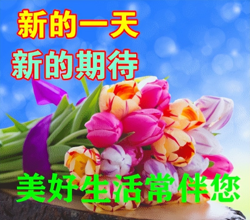 早上好暖心的早安问候图片,周一至周日最美早安问候图