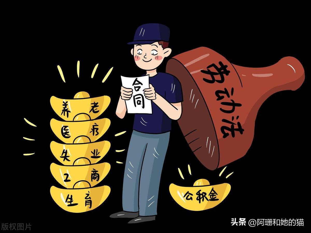 博主五险一金科普,五险一金全网科普