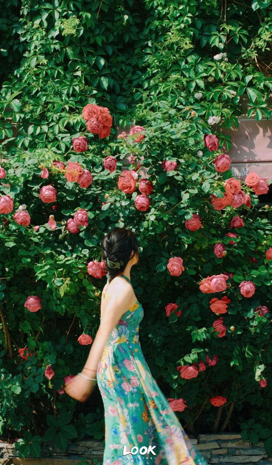 北京居庸关花海栈道,北京四季花海景区