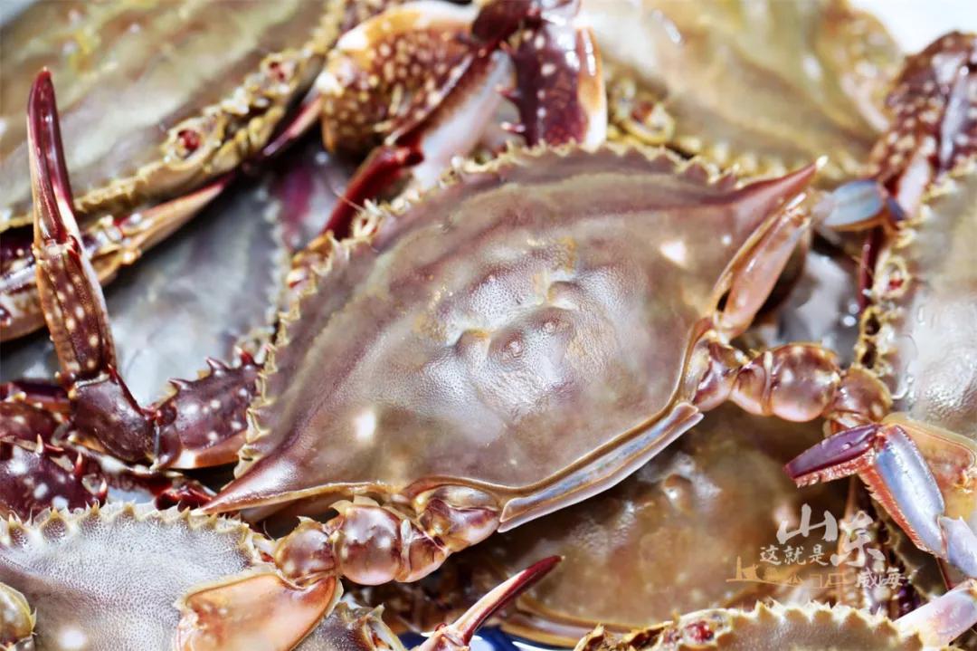 这就是威海,威海这几天天气