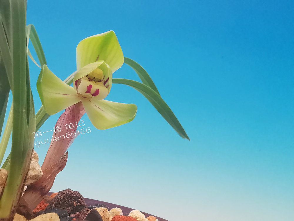 号外!送灶,特别想念家中的父母