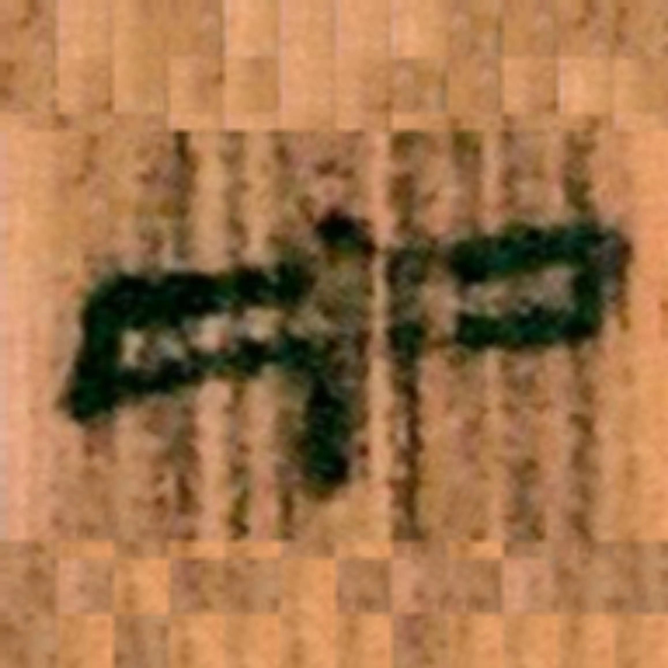 北大汉简属于哪类汉简,北大汉简简介