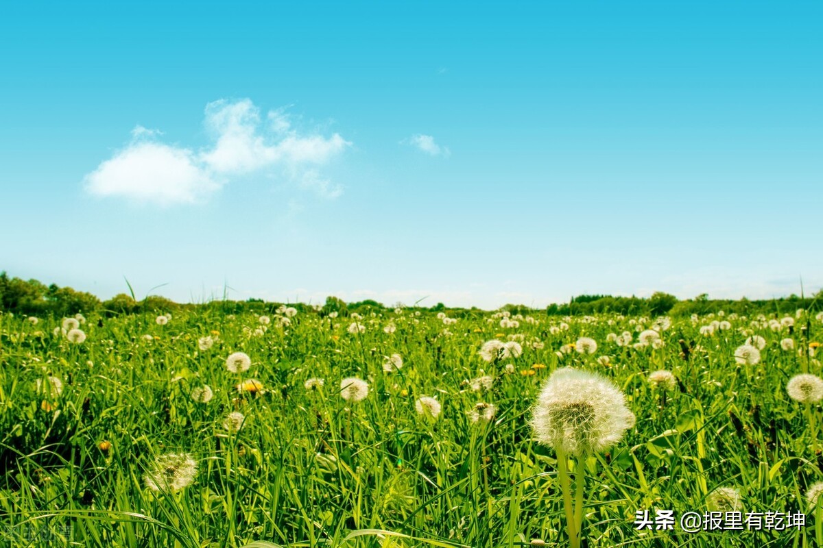 人民日报金句开阔视野,人民日报7字金句展望未来