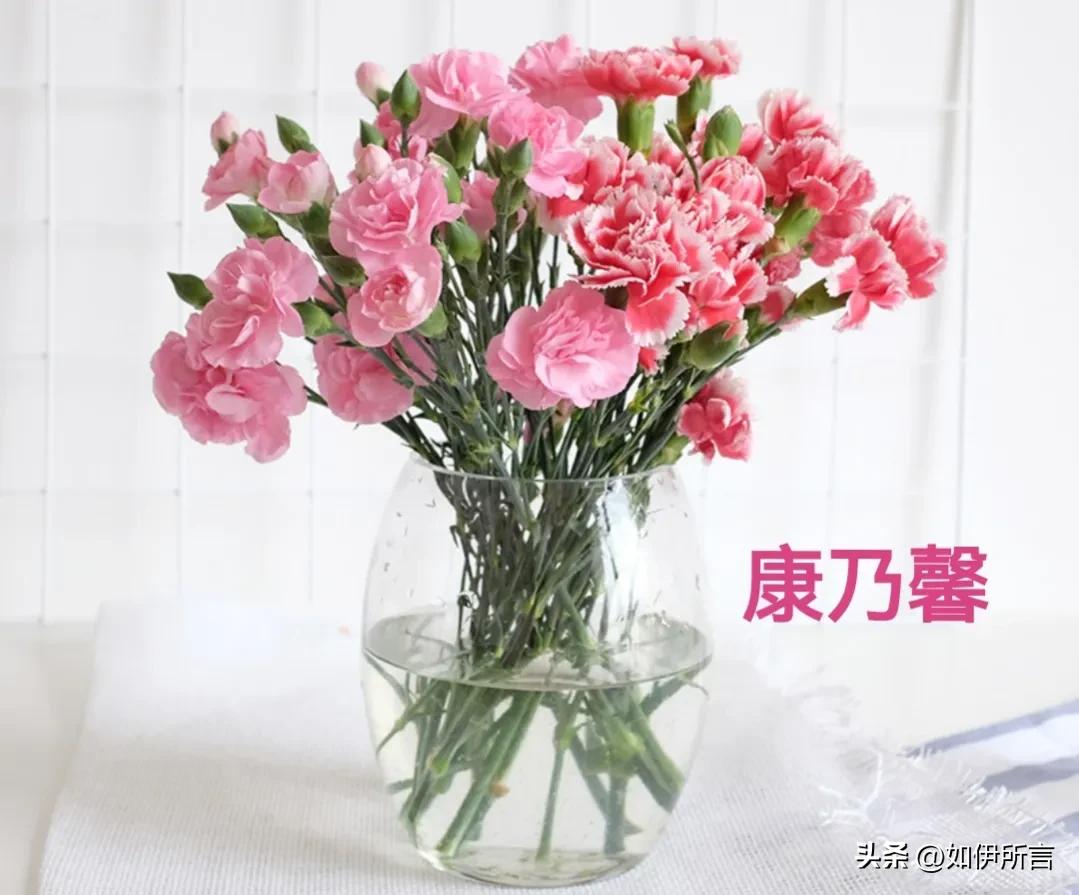 细思极恐还是极思恐极,细思极恐到底是巧合还是天意