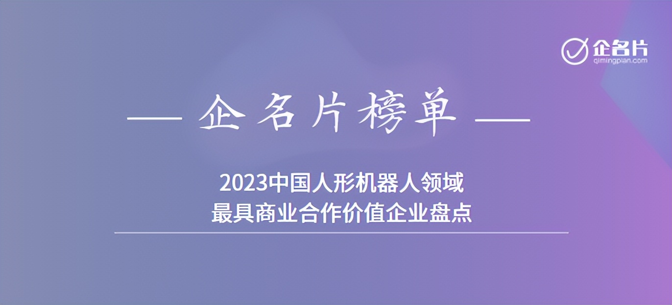 中国最有潜力的6家机器人公司,2024年中国机器人公司排名