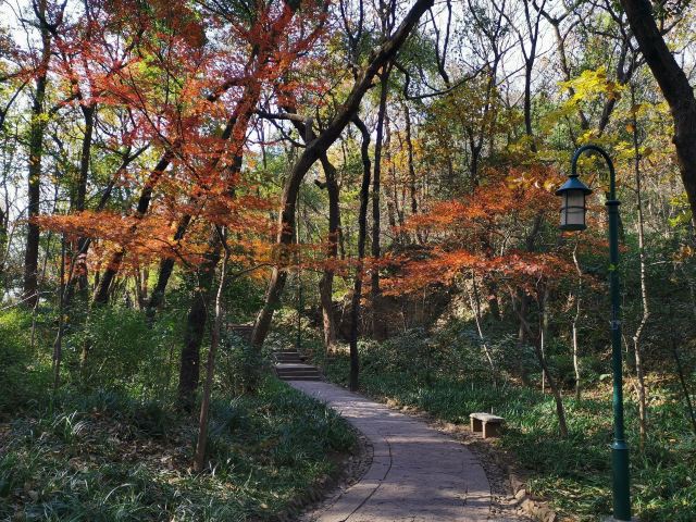 杭州周边赏秋好去处,杭州赏秋最佳攻略