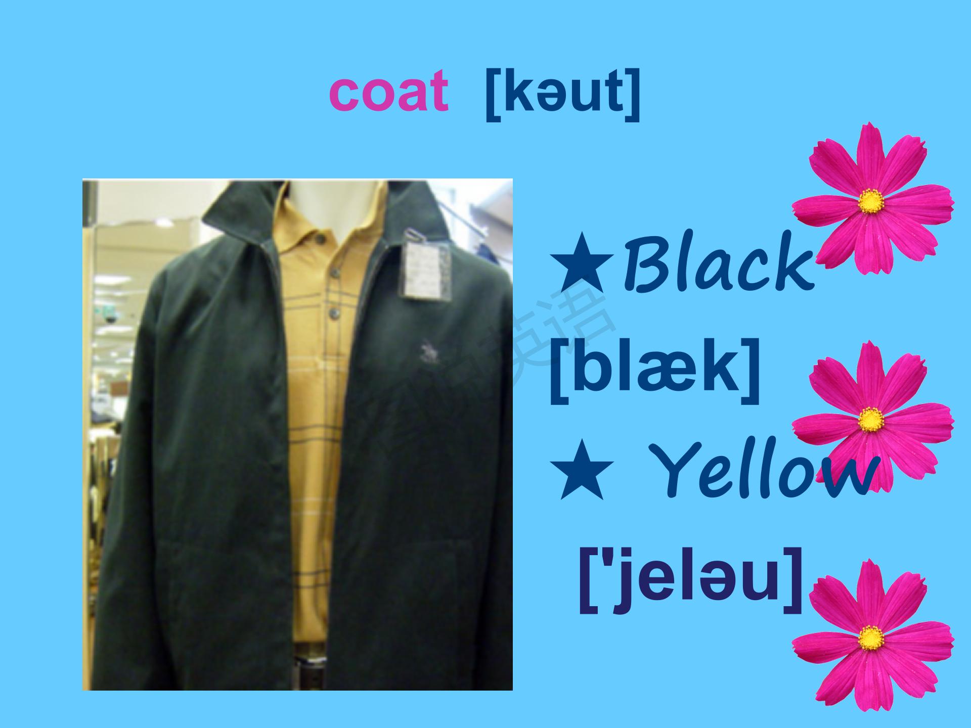 新概念第一册知识点总结课件,新概念英语第一册31到32课课件