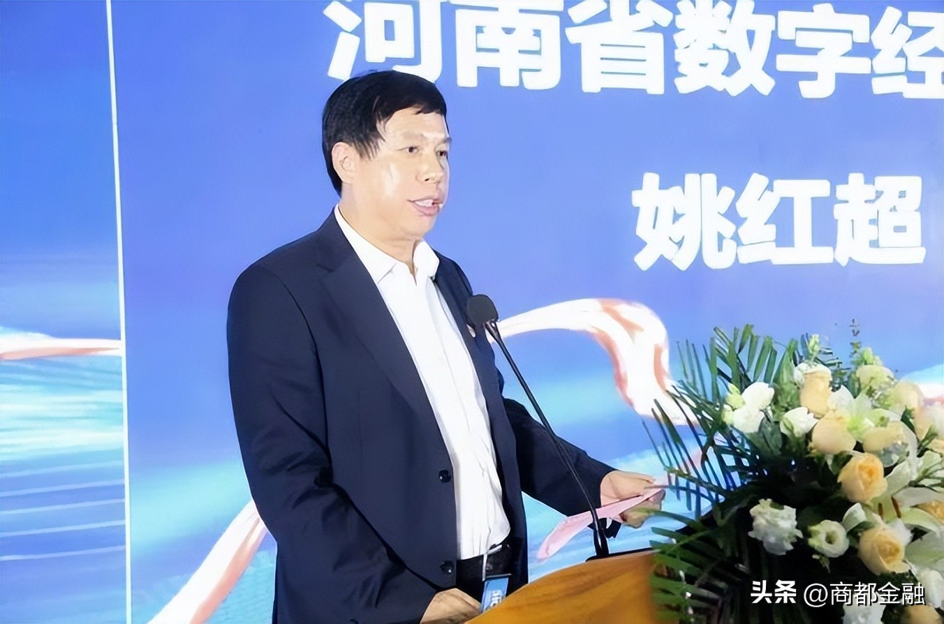 河南数字经济产业协会,河南省数字产业协会